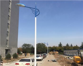 市電路燈-陜西省西安市西北大學(xué)長(zhǎng)安校區(qū)路燈工程